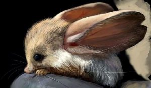 Chuột nhảy sa mạc tai dài